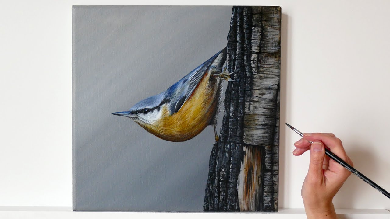 Painting a Nuthatch in Acrylic | Bird Acrylic Painting | Realistic Bird Painting \ Bird Artist
