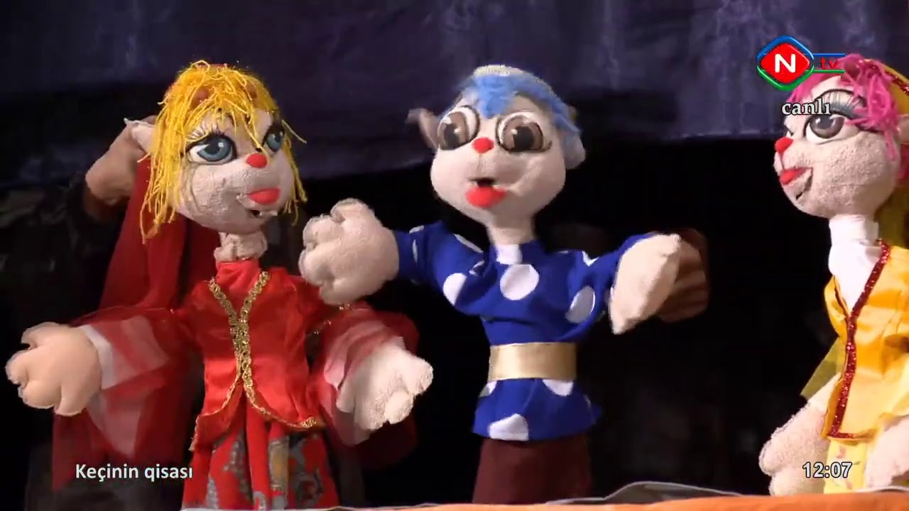 Məhəmməd Tağı Sidqi adına Naxçıvan Dövlət Kukla Teatrı