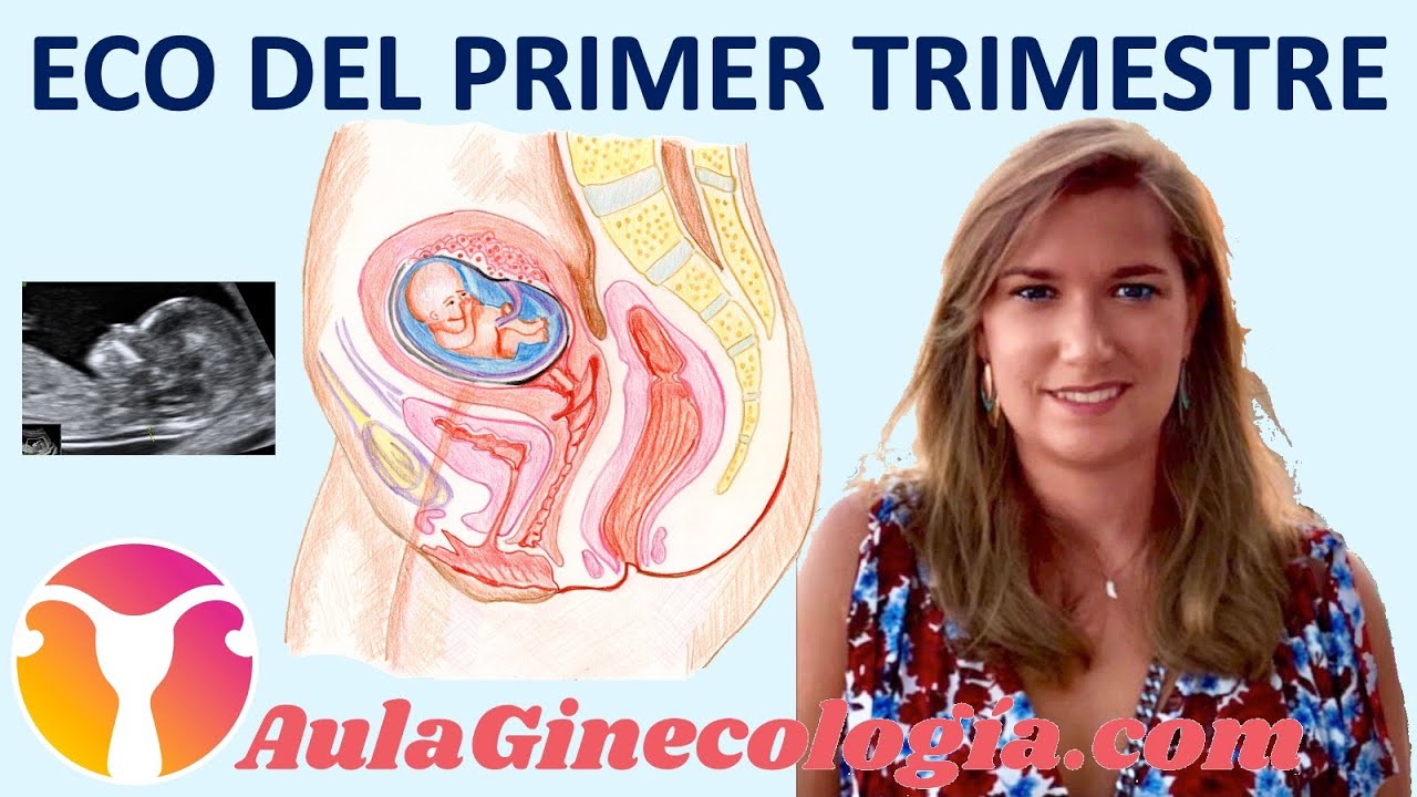 ECOGRAFÍA del PRIMER TRIMESTRE: CROMOSOMOPATÍAS, PREECLAMPSIA, y más...- Ginecología y Obstetricia -