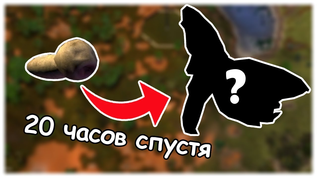 Как сильно эволюционируют существа за 20 часов || Species