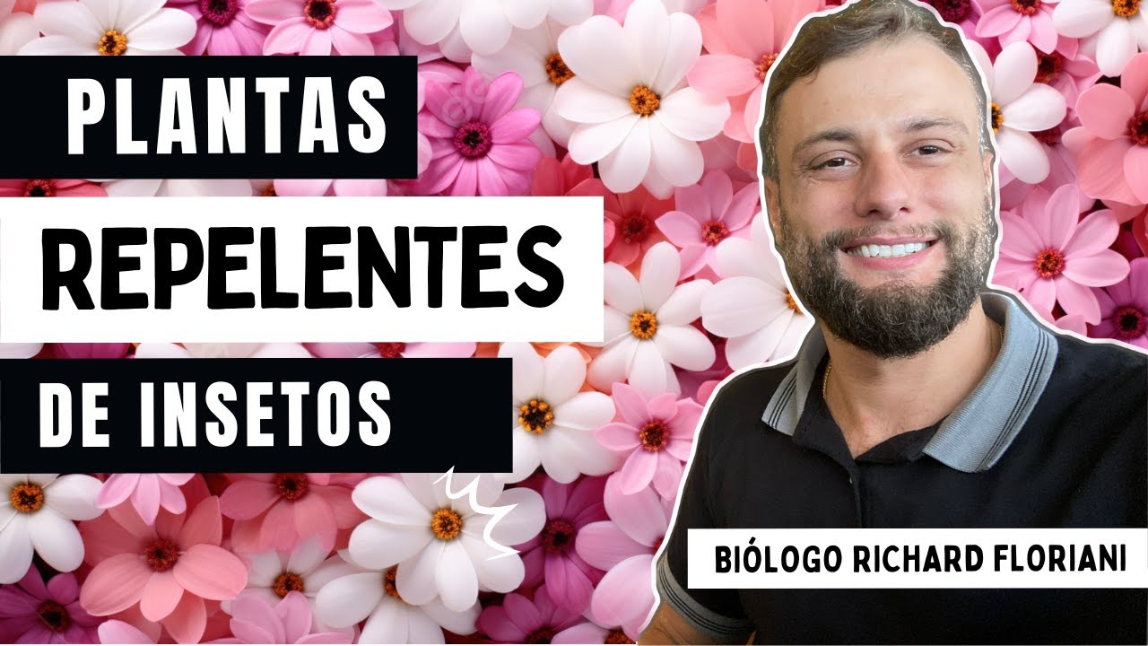 Plantas repelentes de insetos que voc&ecirc; pode ter em casa! Bi&oacute;logo Richard Floriani