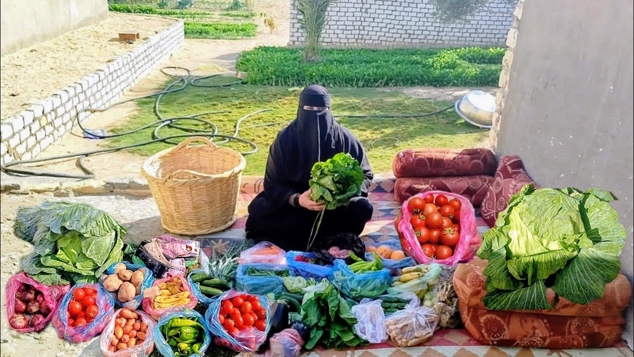 أسعار الخضار عندنا اليوم في السوق 🥹 يوم كله تعب و مرمطه 😢 بس مكملين الله المستعان