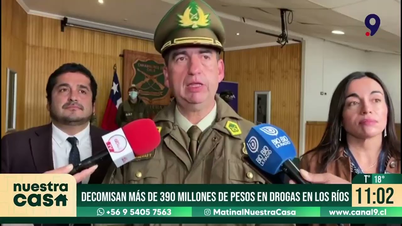 Decomisan más de 390 millones de pesos en drogas en región de Los Ríos