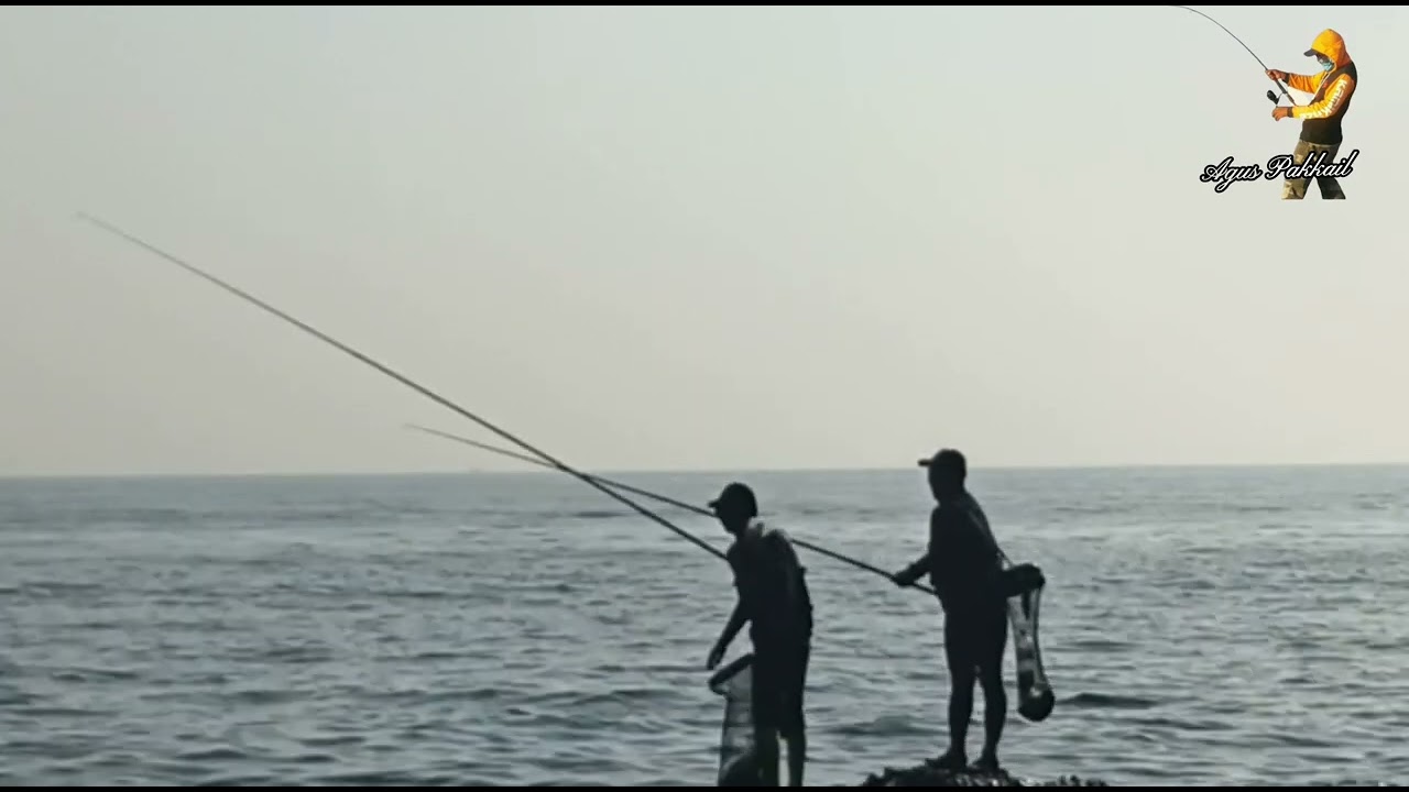 Serunya mancing baronang tehnik celup, #pulauonrust #baronang