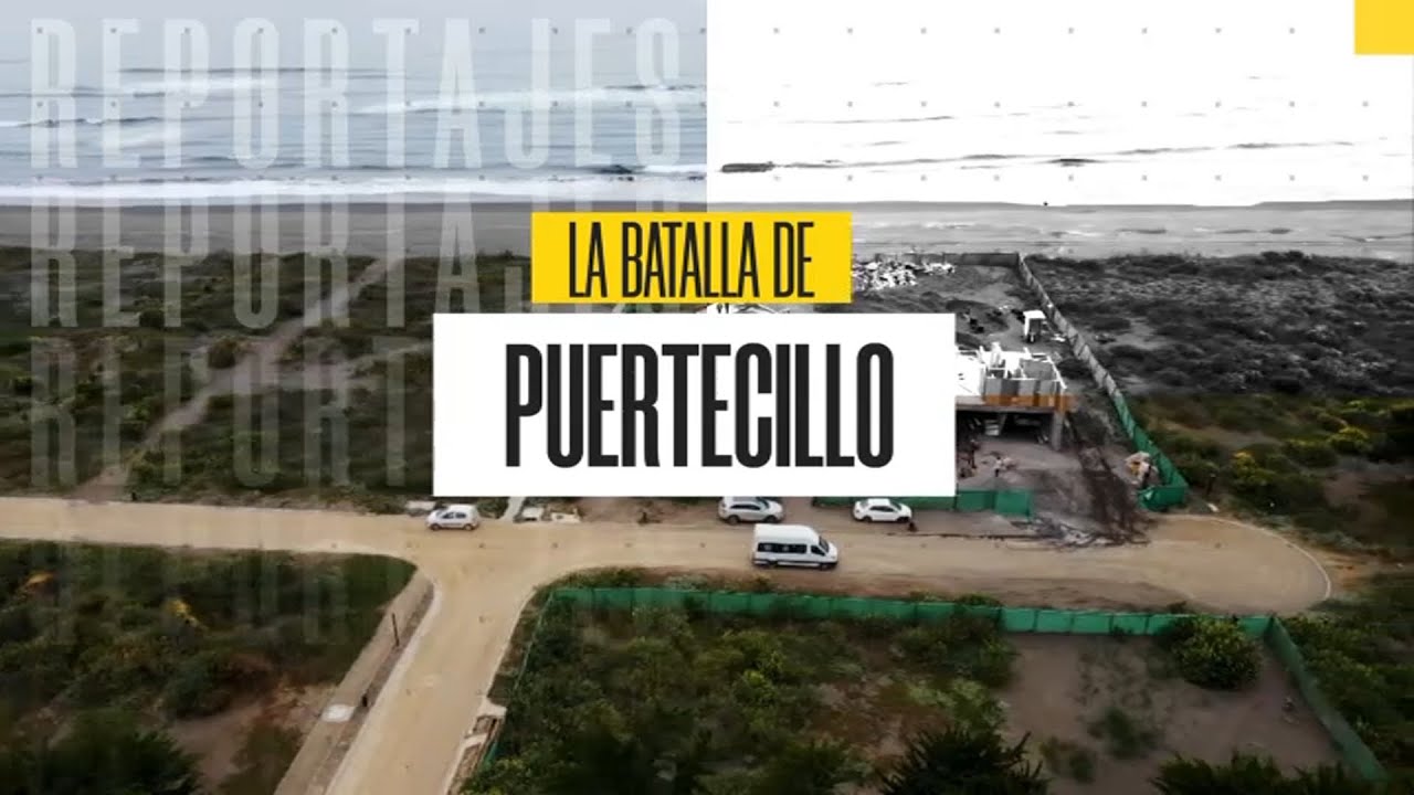 Reportaje | Lujosas casas afectan humedal en la sexta región