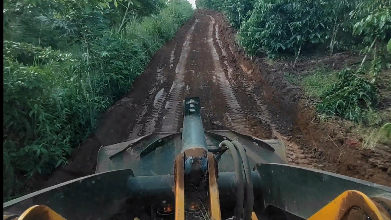 FAZENDO ESTRADA PRA ESTRAI PRODUÇÃO DE CAFÉ COM PÁ CARREGADEIRA JCB 426ZX