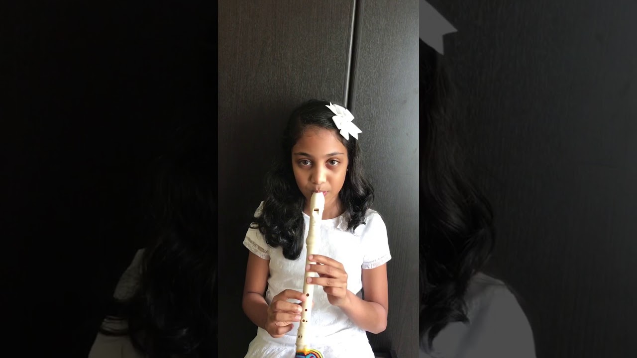 Hallelujah recorder cover by Amanda