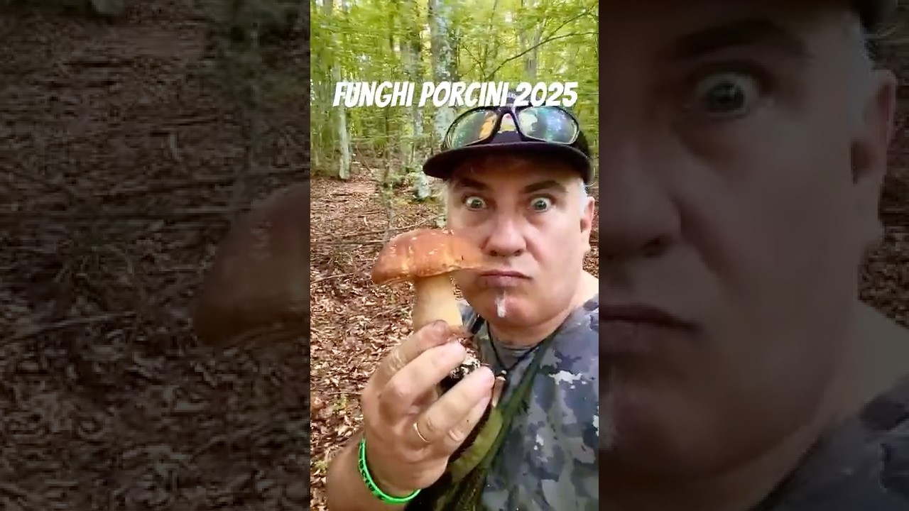 Funghi porcini 2025 #funghi #fungomagia #mushroom #nature #funghi2025