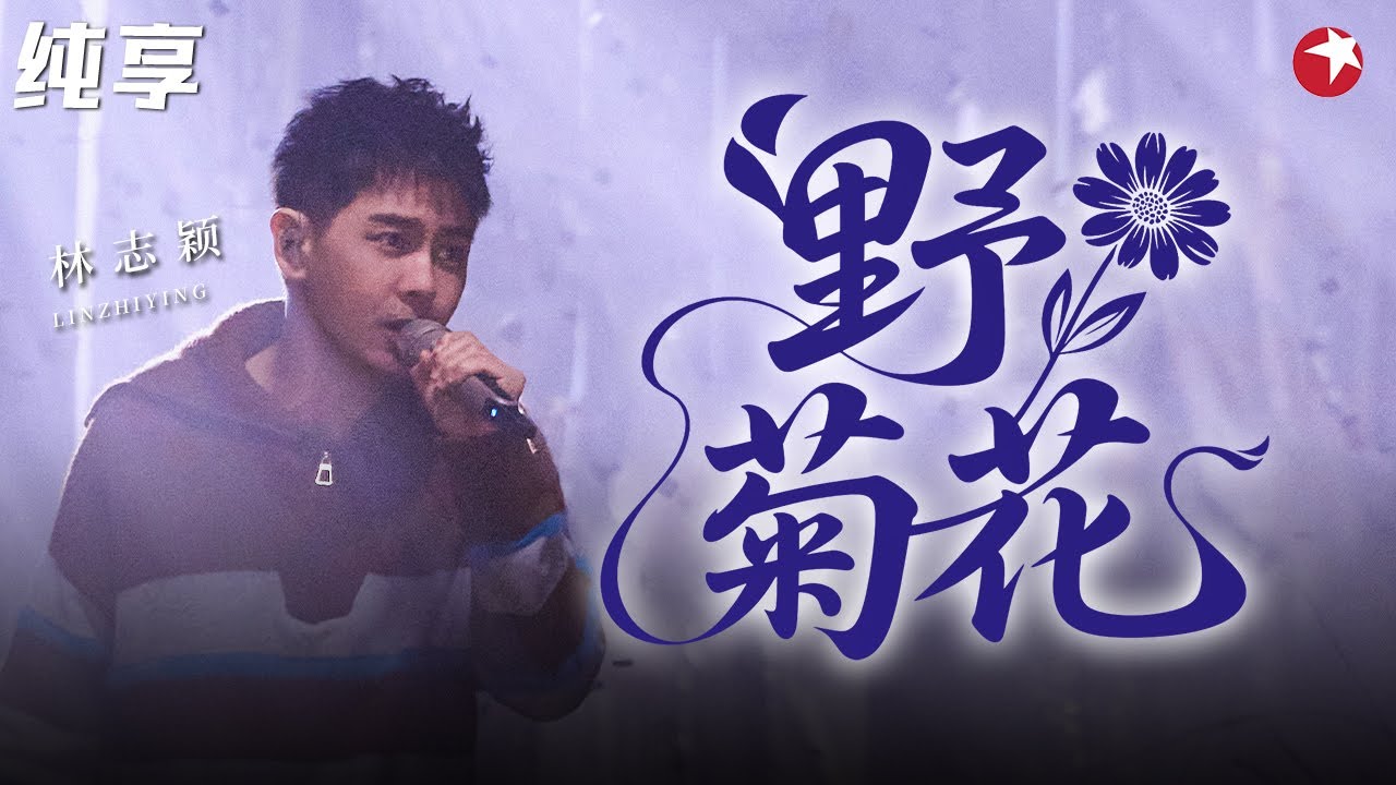 开口如春风！50岁林志颖再唱《野菊花》不老男神容颜依旧,感动满满！#经典金曲榜 clip