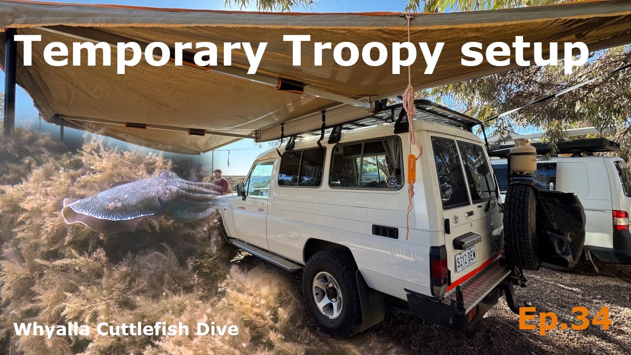 Taking the Troopy on his first adventure and diving with the giant cuttlefish in Whyalla 🦑 Ep. 34