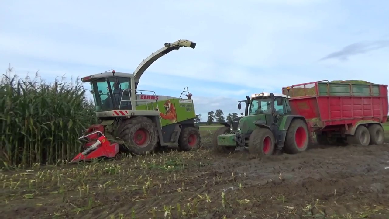 Małe Błoto I Kukurydza 2017 I Claas Axion 820 I Claas Jaguar 850 I Fendt