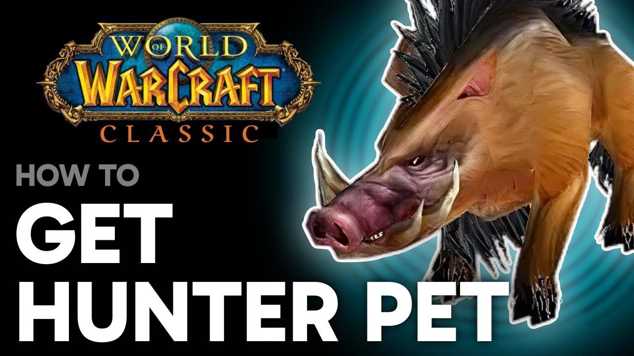 How to Get a Hunter Pet in WoW Classic (Step by Step)
