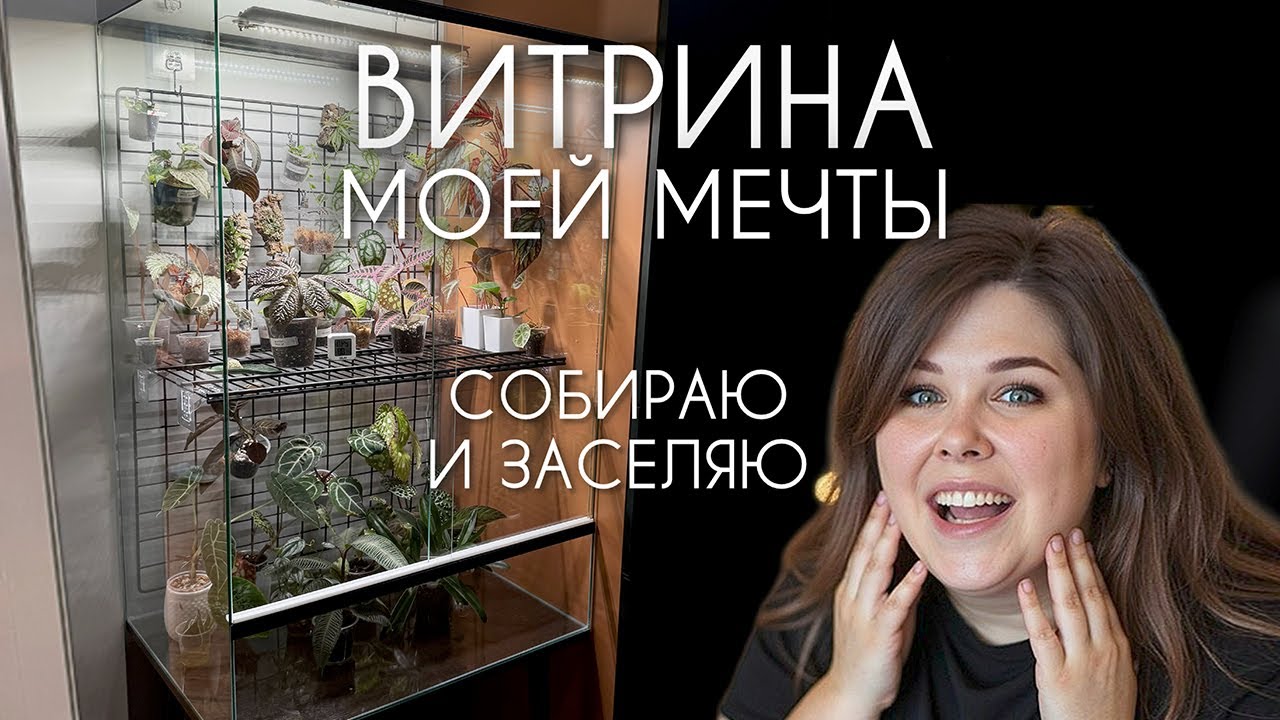 СОБИРАЮ ВИТРИНУ и заселяю ее растениями