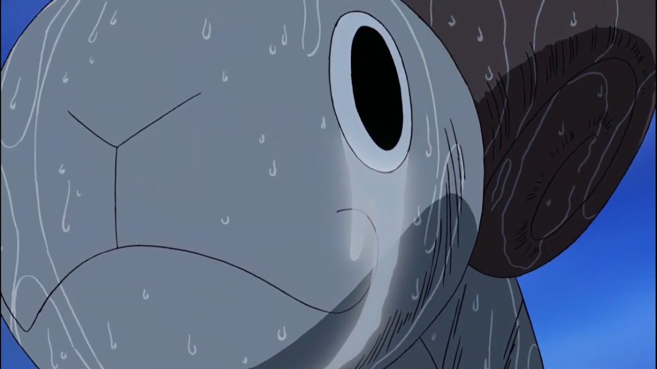The day when Going Merry Cried | Emotional one piece moment
