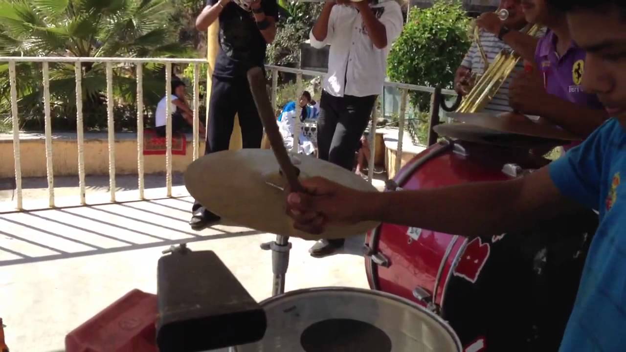 Banda la tilapeña... -la gatita-