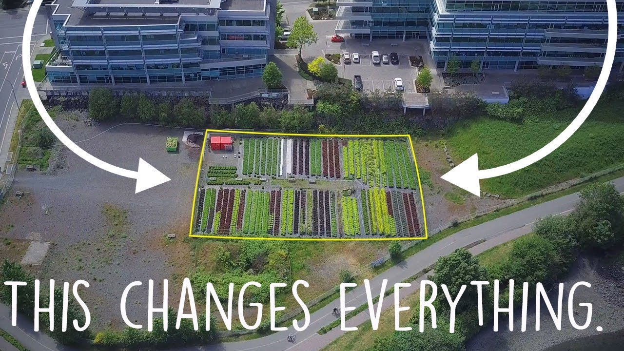 How Urban Farms Are Changing Cities!