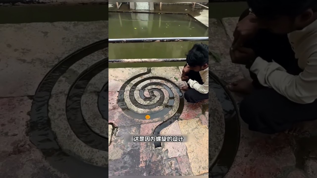 专门帮助鱼类洄游的鱼梯！ #科普 #知识 #冷知识