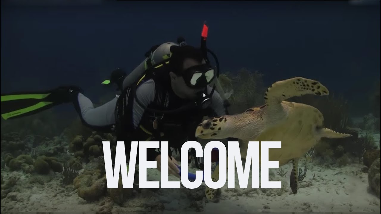 Welcome to Oceano Videosub