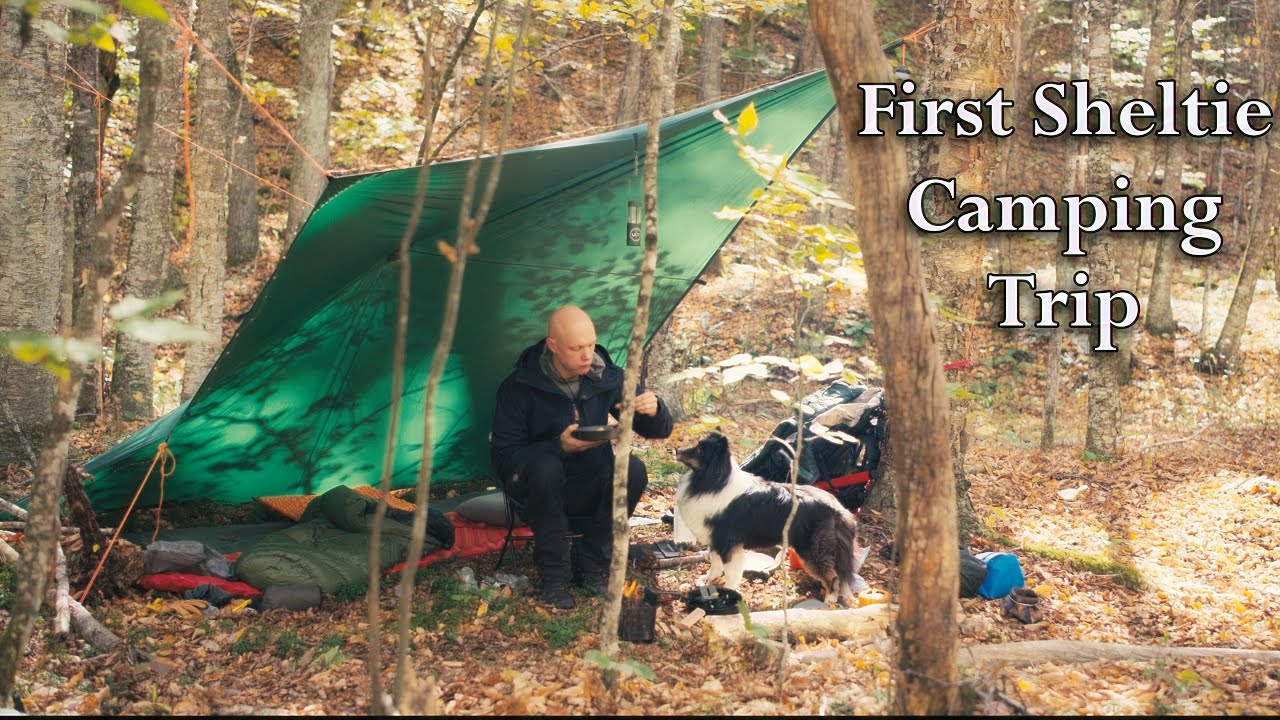 Fall Camping with My Shetland Sheepdog: Tarp Shelter, Cooking & Fishing