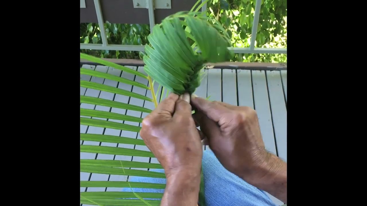 How to Weave a Palm Nautilus