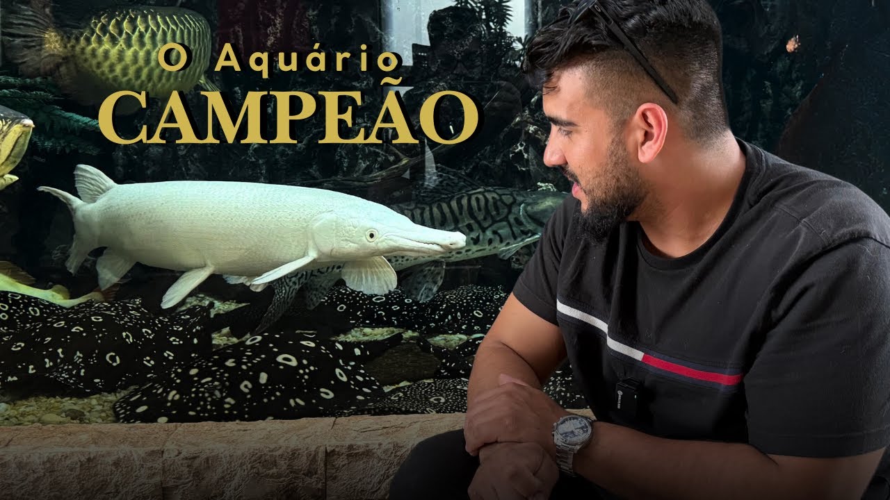 ESSE CARA MONTOU O AQUÁRIO DOS SONHOS, COM PEIXES PREDADORES RAROS!
