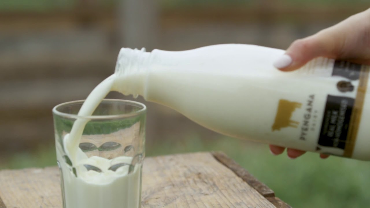 Pyengana Dairy TVC