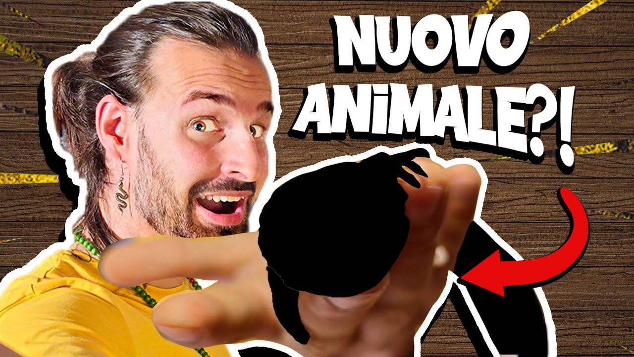 Ho Preso Un NUOVO RETTILE Misterioso!!