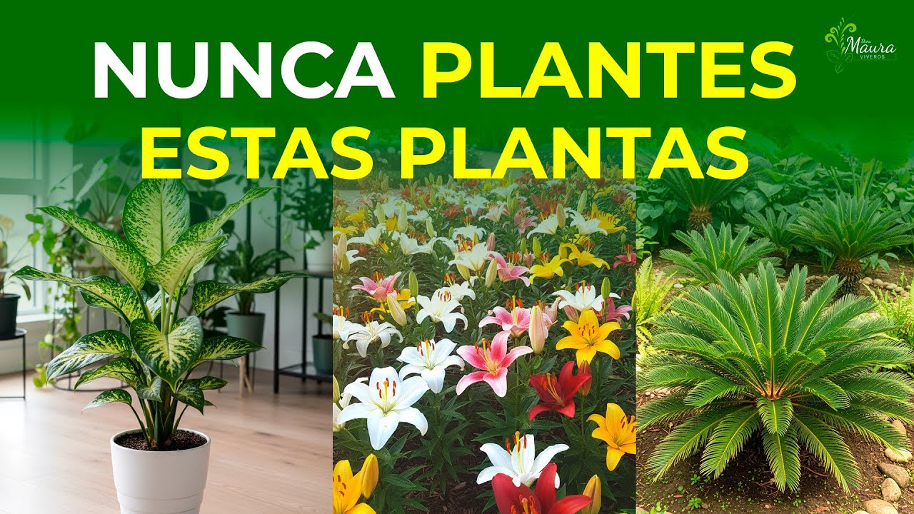 7 PLANTAS más PELIGROSOS que te VENDEN en VIVEROS y no lo SABIAS 🚫
