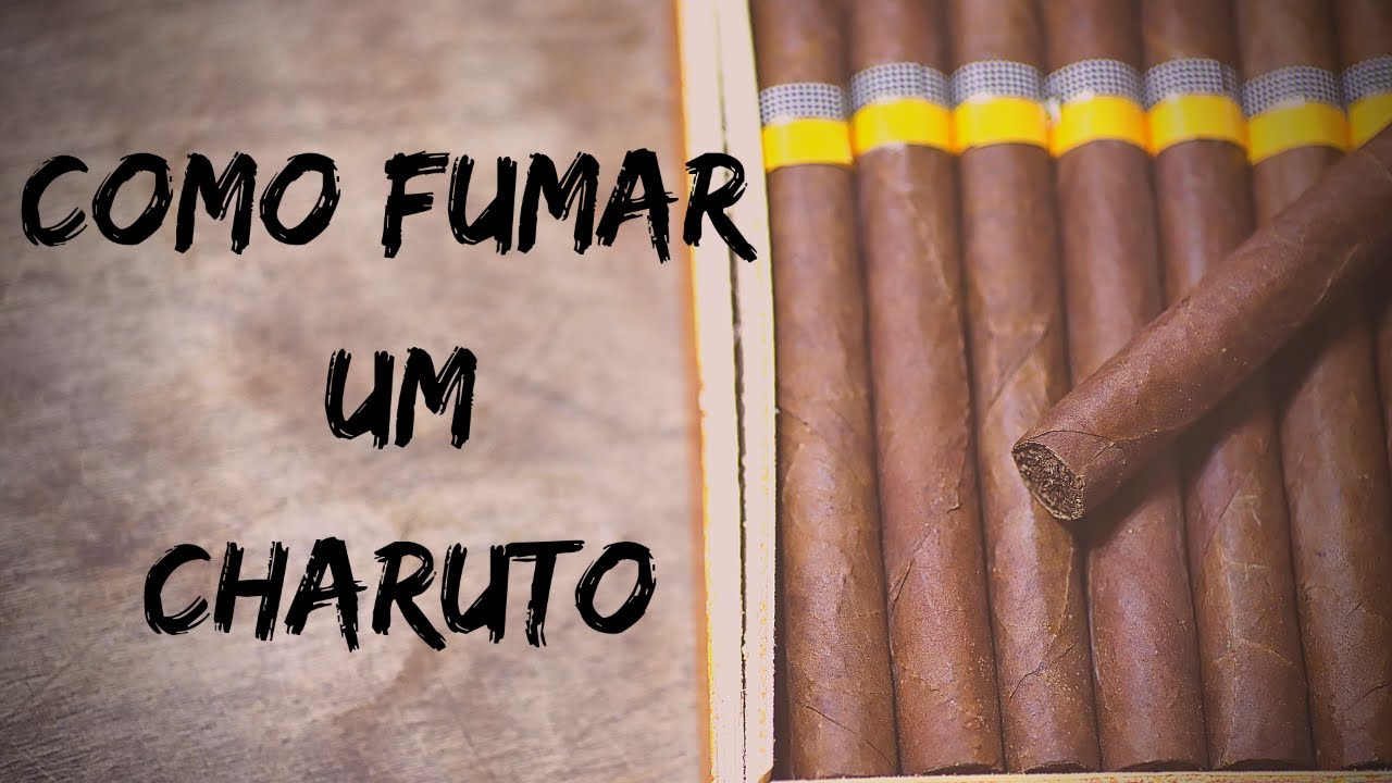 Como fumar um CHARUTO