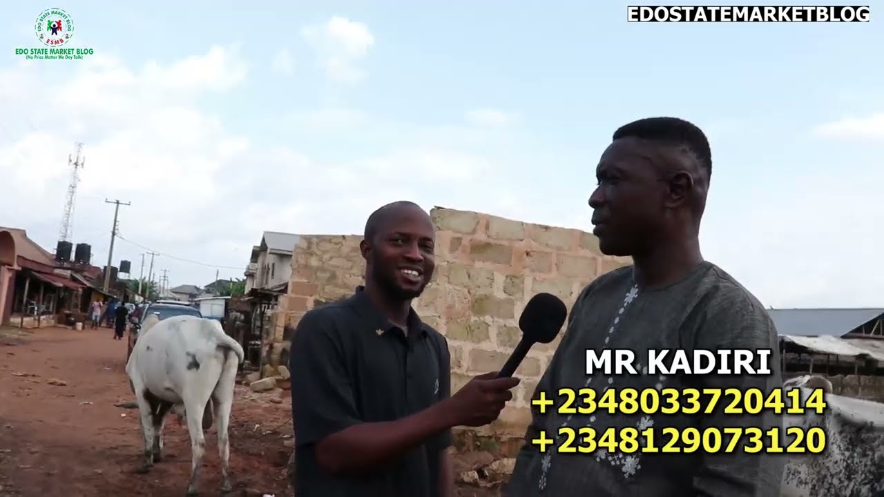 A tour on Aduwawa cattle market latest price of cow goat ram and native goat at ADUWAWA cattle