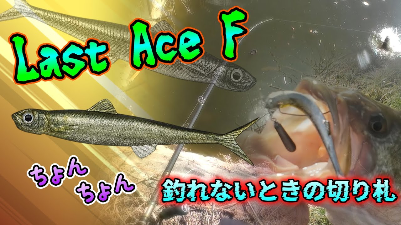 【バス釣り】釣れないときの切り札はこれだ！！その名の通り、やっぱり釣れちゃうラストエース！見た目はまさにベイトフィッシュそのもの！！【Black　Bass】【柳川クリーク】