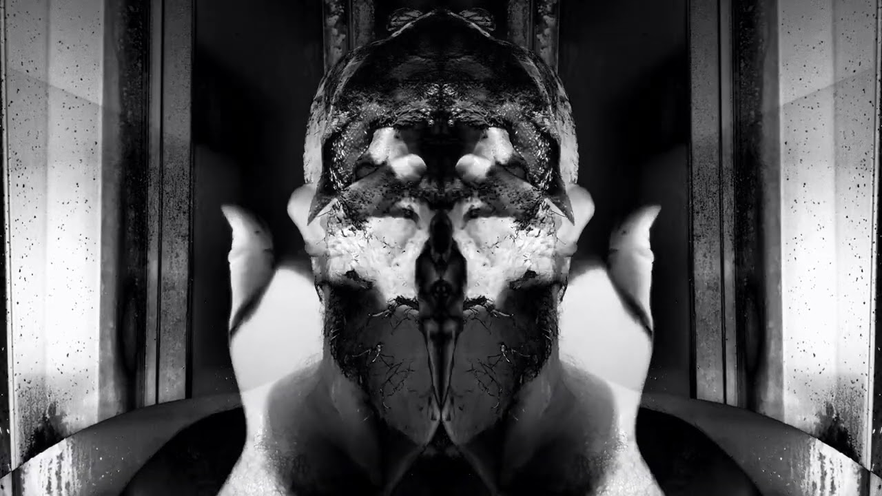 I Am All the Things I Survived