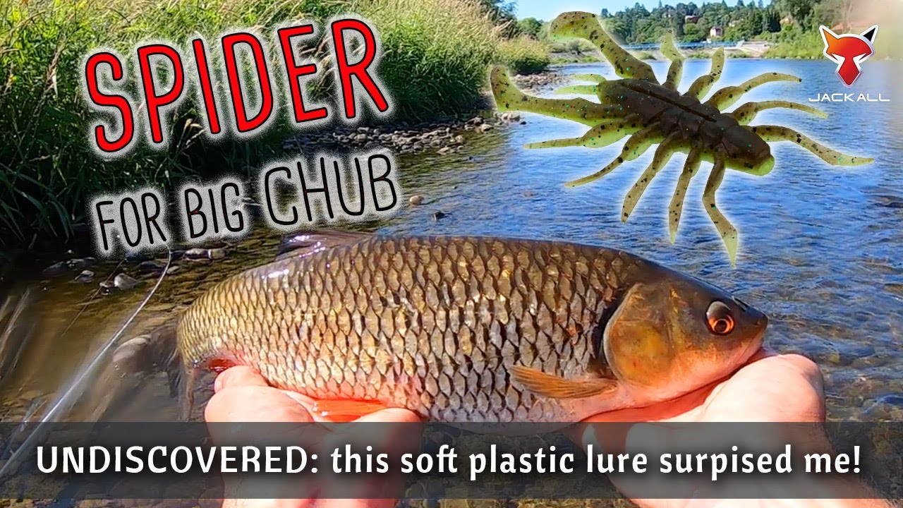 This SPIDER made fish crazy in the river! | RV-bug 1.5