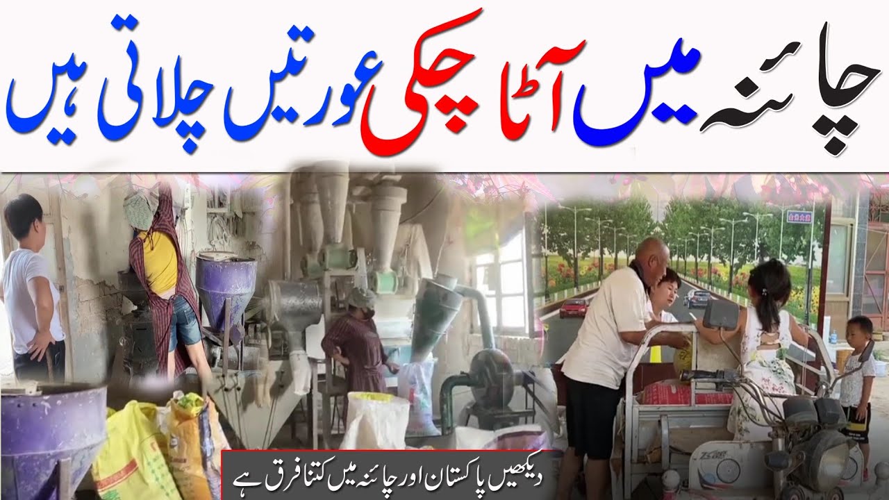 how to import things from china | flour mils in china |how to get flour wheat in china