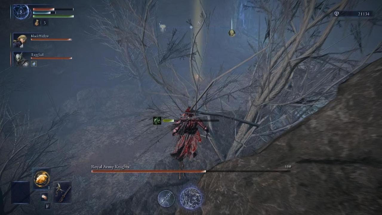 ELDEN RING NIGHTREIGN EVERDARK Gladius D4