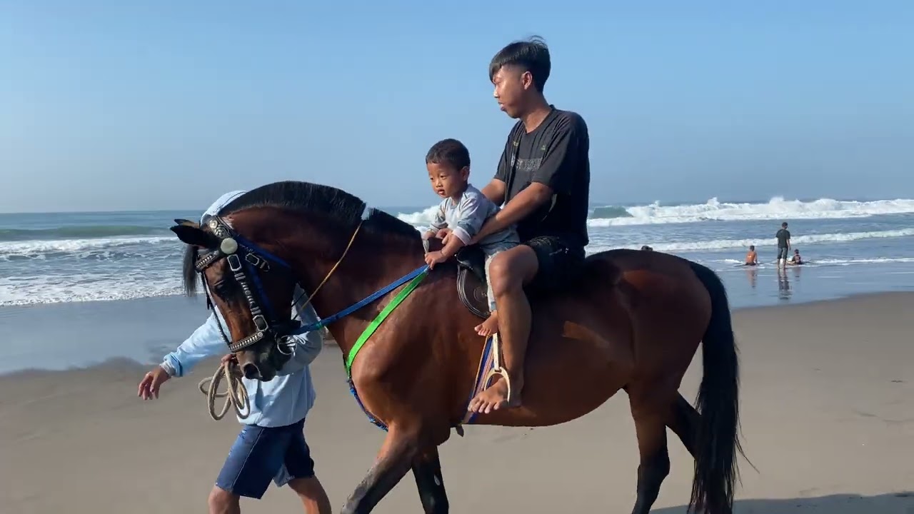 Naik kuda di laut liburan part 2 