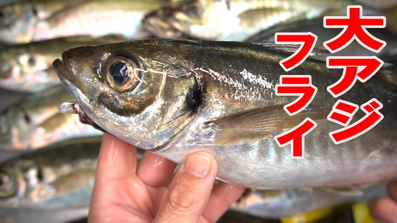 【旨すぎ注意！】釣りたての大アジで作る絶品アジフライ2022 3 5玉市丸 大アジ料理