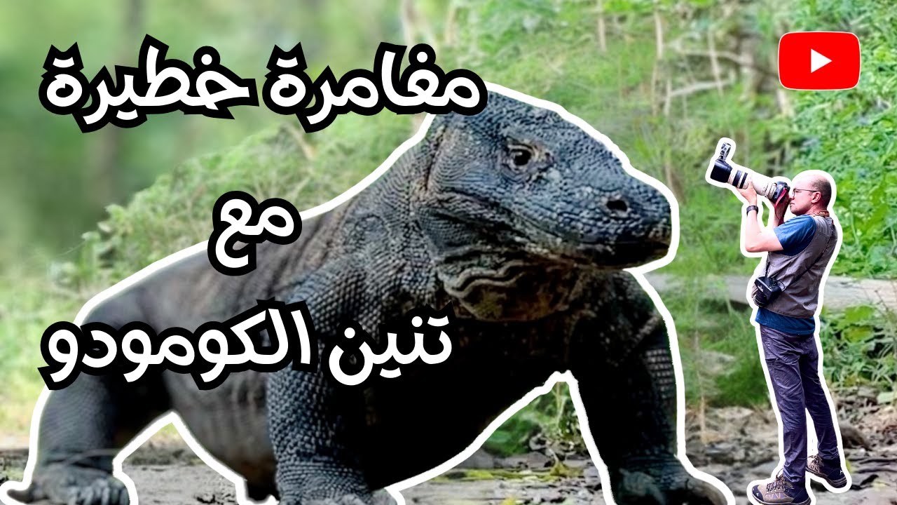 مغامرة تنين كومودو المفترس | Komodo Dragon Adventure
