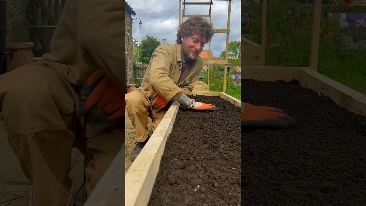 How I fill a Raised bed or Planter 🌱🪱 #gardeningtips #gardening #raisedbedgardening