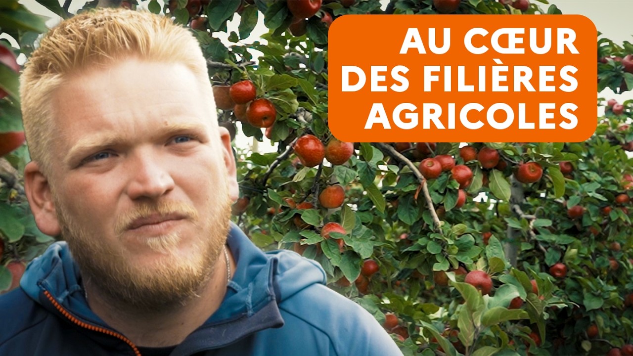 Au cœur de la filière fruits : le trésor des vergers