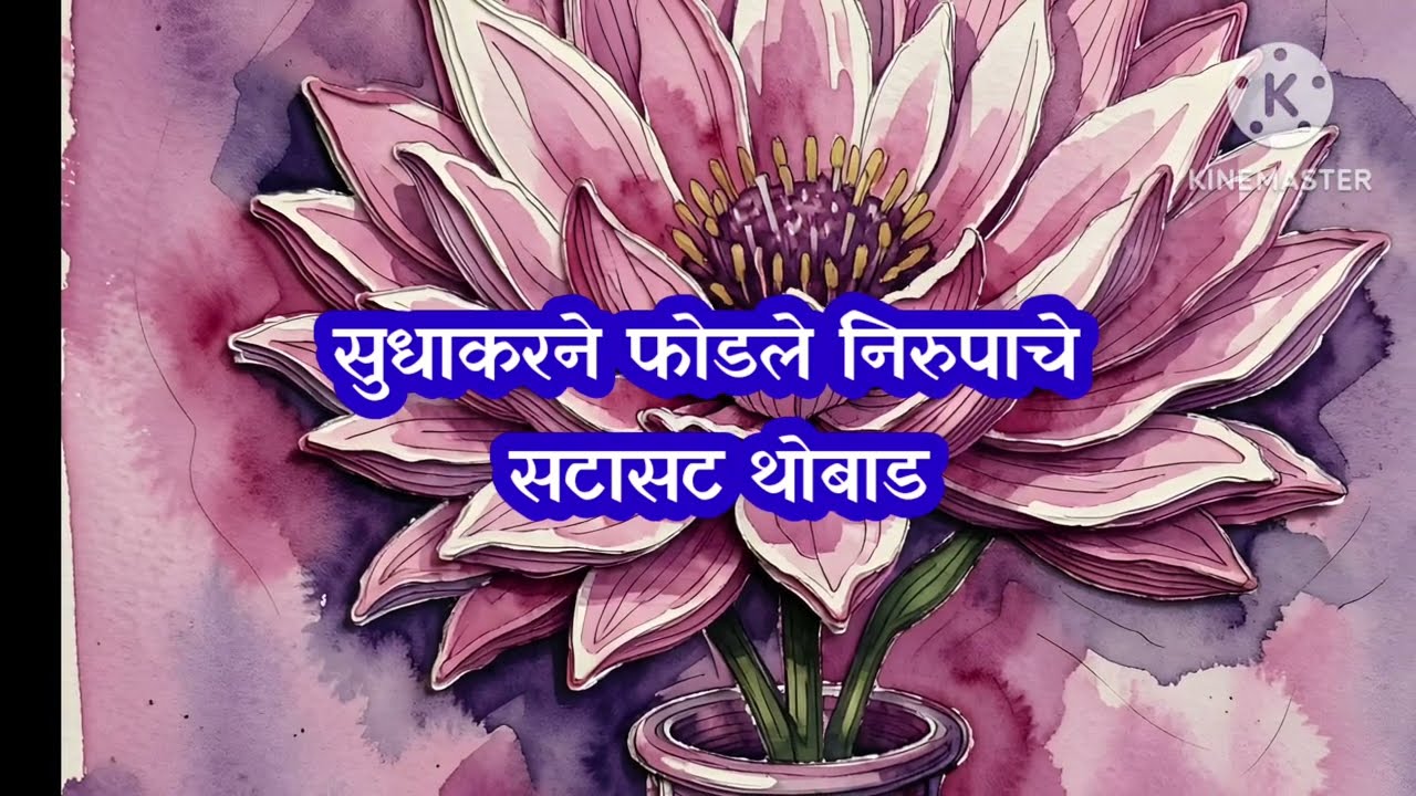 सत्य समोर येताच सुधाकरने फोडले निरुपाचे थोबाड|sadhi mansa today episode 