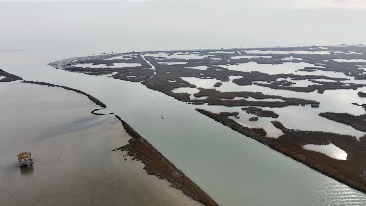 Foce del Po della Donzella
