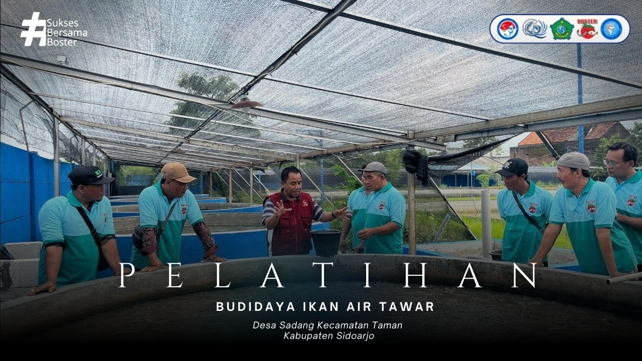 Pelatihan Budidaya Ikan Air Tawar Desa Sadang, Kec. Taman Di P2MKP Fish Boster Centre