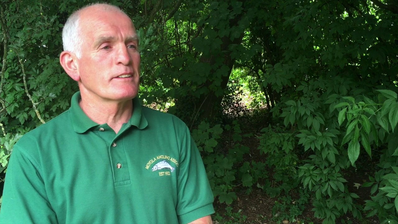 Giant hogweed sting leaves angler in agony