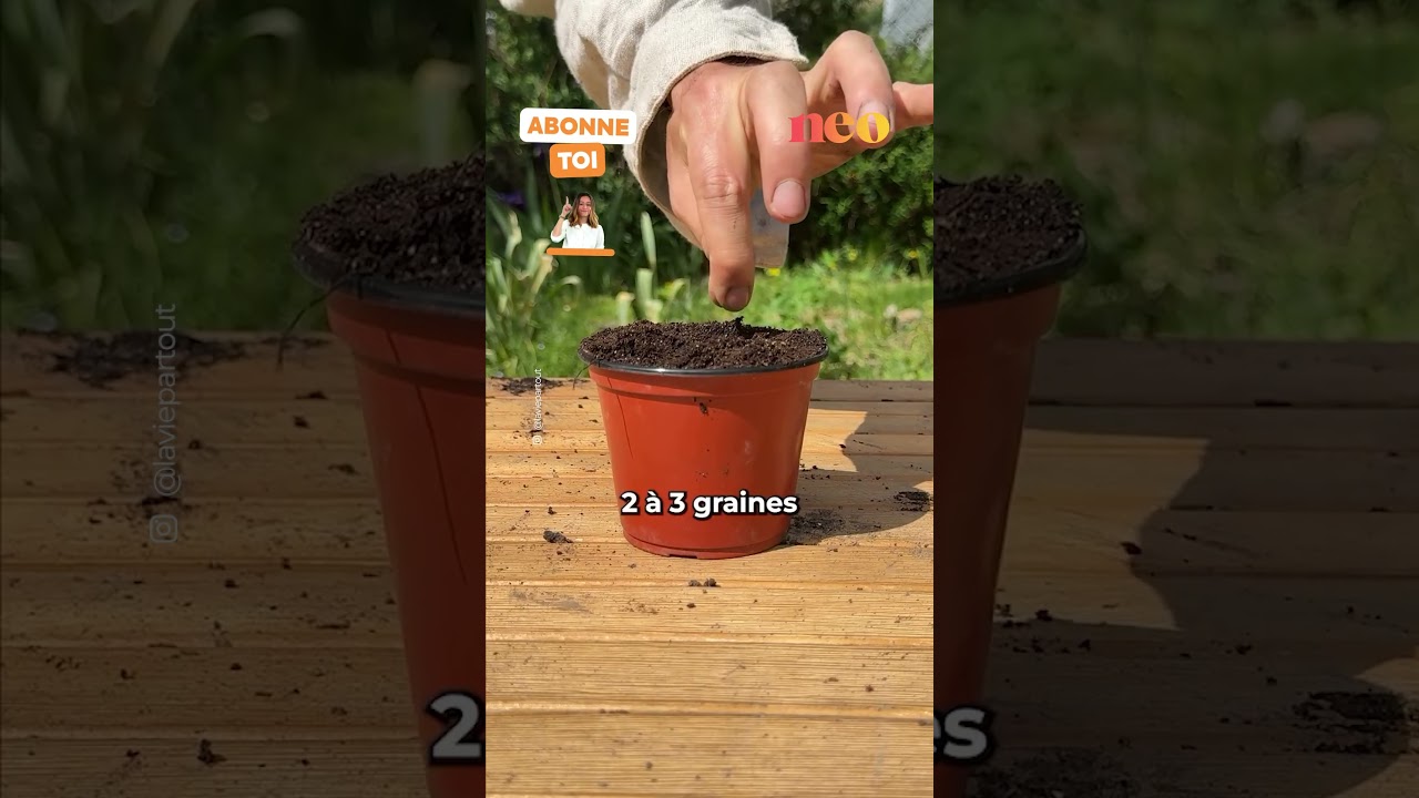 Il explique comment faire pousser des fraises &agrave; l&rsquo;infini.