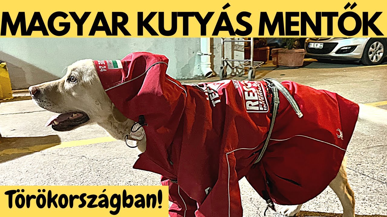 Magyar Mentőkutyások a török földrengésnél!