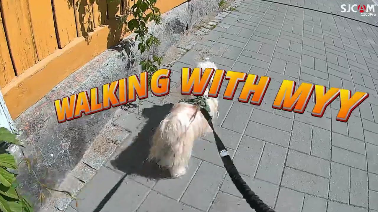 Walking with Myy 🐶