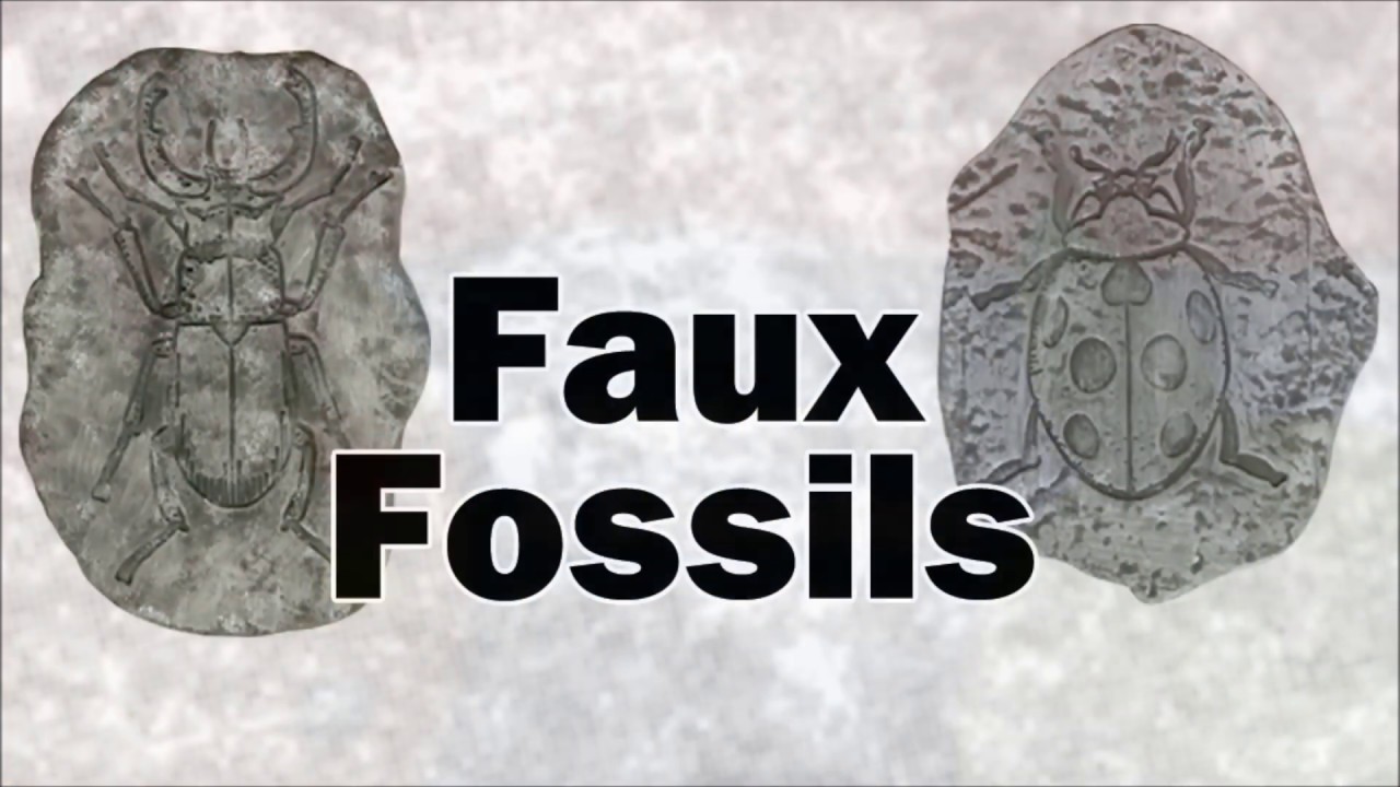 Faux Fossils - Project #5