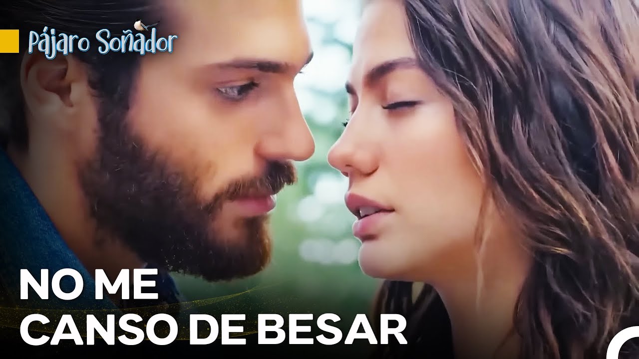 Pausa De Beso Entre Dos Caravanas - Pájaro Soñador