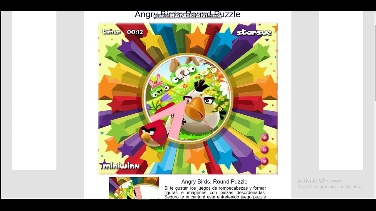 Angry Birds Round Puzzle